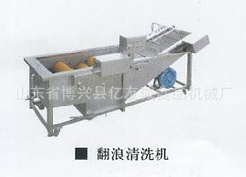 果蔬菜清洗機(jī)翻浪清洗機(jī)